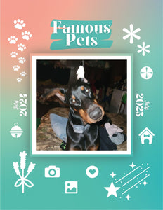 Famous Pets: July 2024-July 2025 Wall Calendar (Pre-Order)