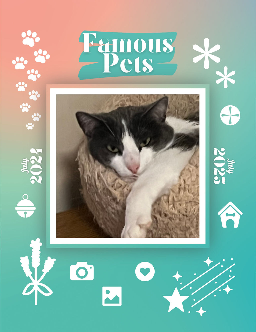 Famous Pets: July 2024-July 2025 Wall Calendar (Pre-Order)