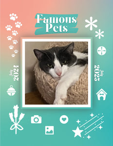 Famous Pets: July 2024-July 2025 Wall Calendar (Pre-Order)