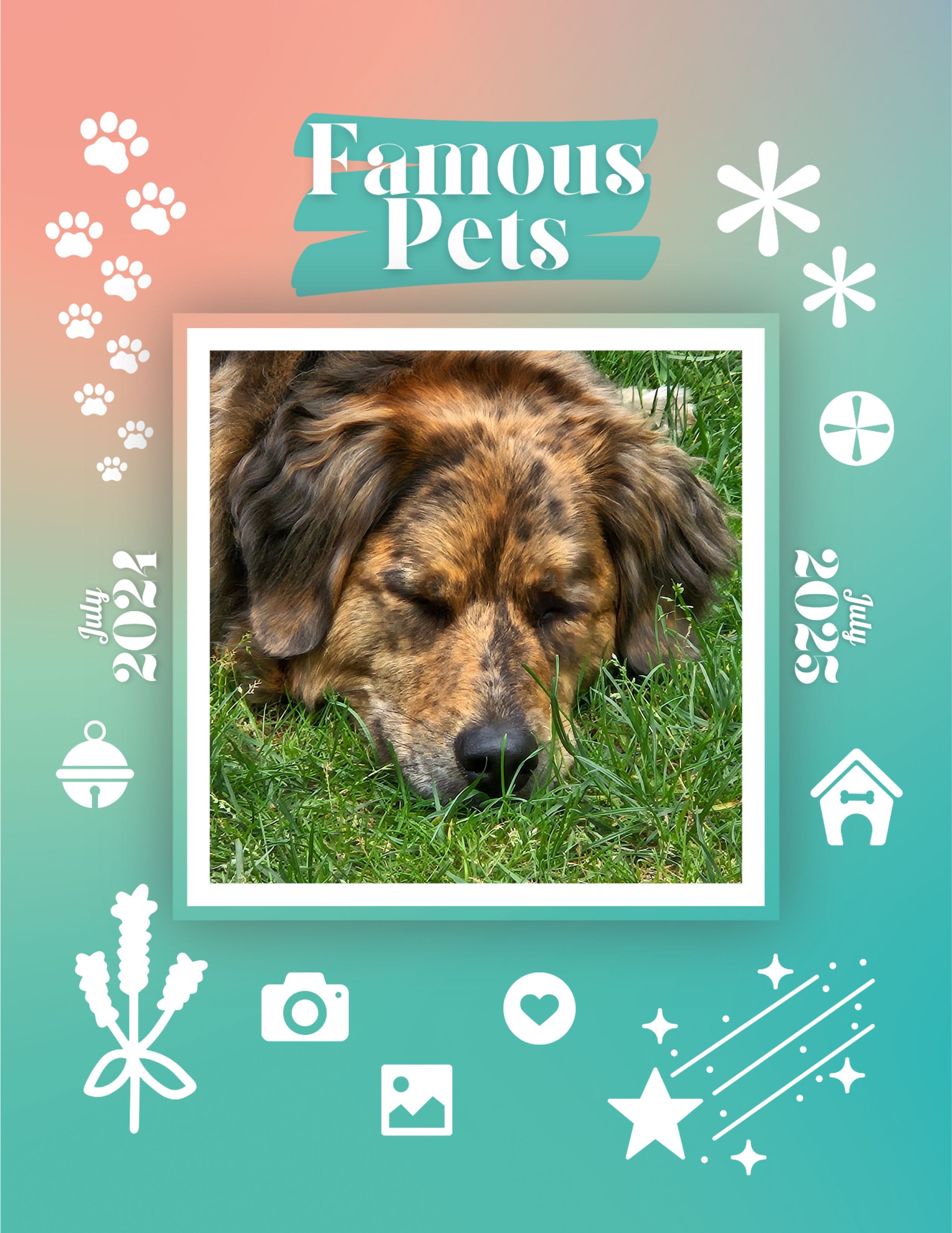 Famous Pets: July 2024-July 2025 Wall Calendar (Pre-Order)