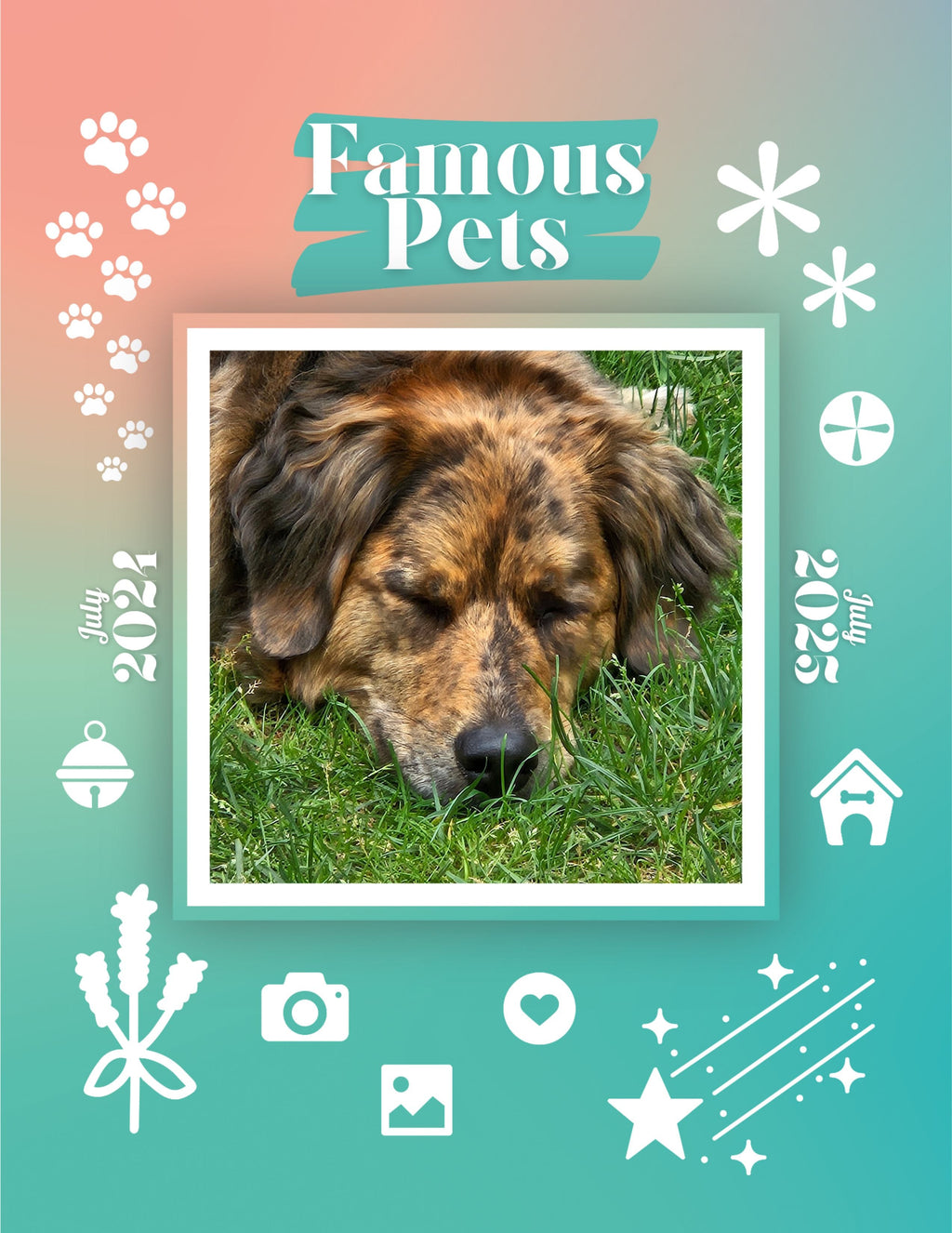 Famous Pets: July 2024-July 2025 Wall Calendar (Pre-Order)