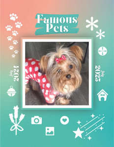 Famous Pets: July 2024-July 2025 Wall Calendar (Pre-Order)