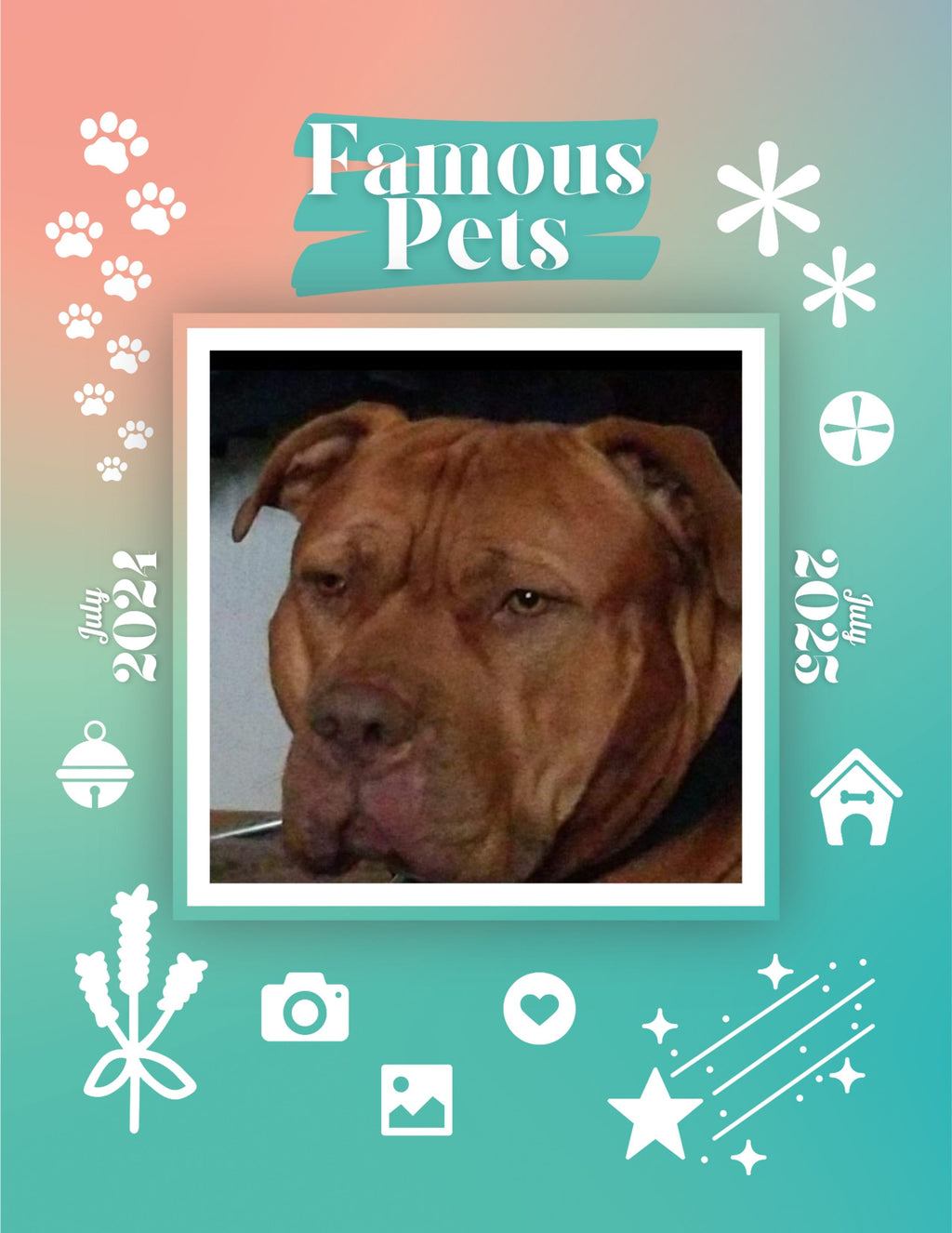 Famous Pets: July 2024-July 2025 Wall Calendar (Pre-Order)