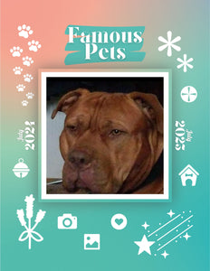 Famous Pets: July 2024-July 2025 Wall Calendar (Pre-Order)