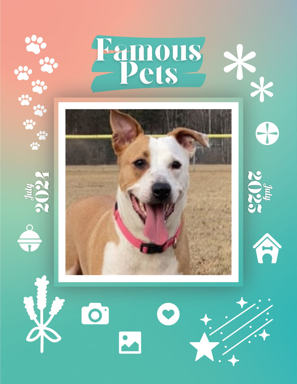 Famous Pets: July 2024-July 2025 Wall Calendar (Pre-Order)
