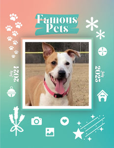 Famous Pets: July 2024-July 2025 Wall Calendar (Pre-Order)