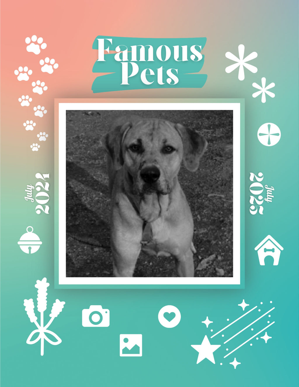 Famous Pets: July 2024-July 2025 Wall Calendar (Pre-Order)
