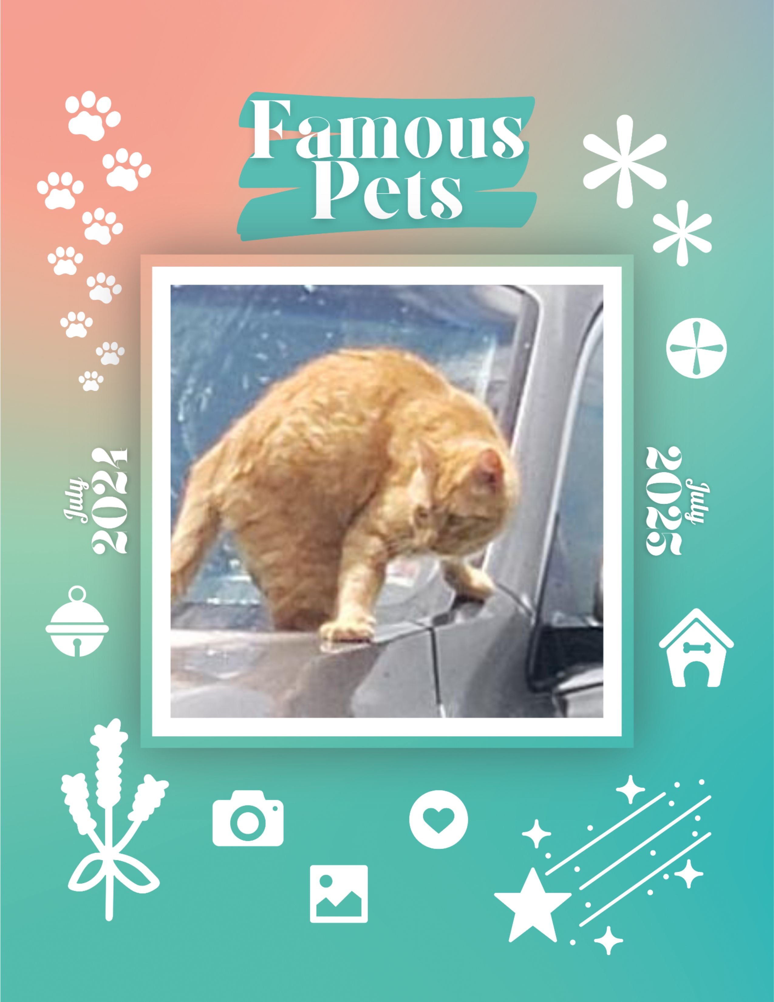Famous Pets: July 2024-July 2025 Wall Calendar (Pre-Order)