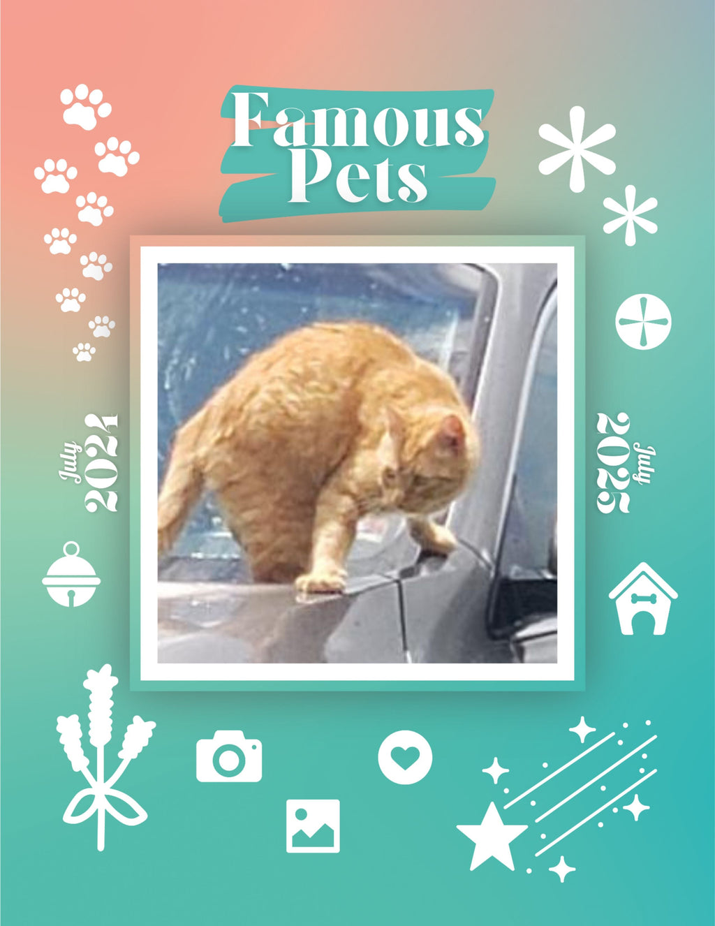 Famous Pets: July 2024-July 2025 Wall Calendar (Pre-Order)