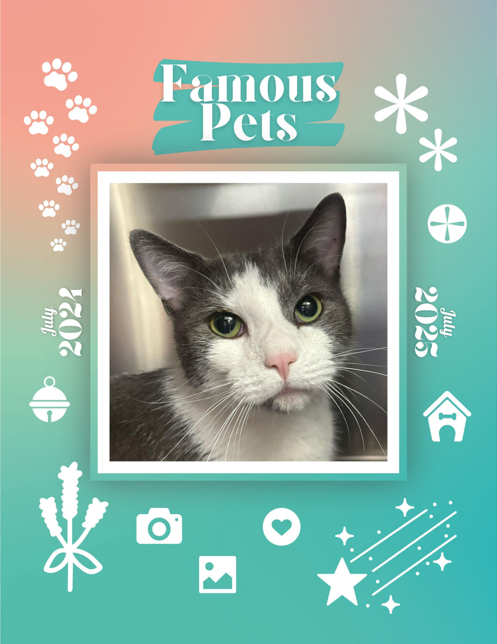 Famous Pets: July 2024-July 2025 Wall Calendar (Pre-Order)