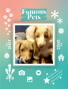 Famous Pets: July 2024-July 2025 Wall Calendar (Pre-Order)