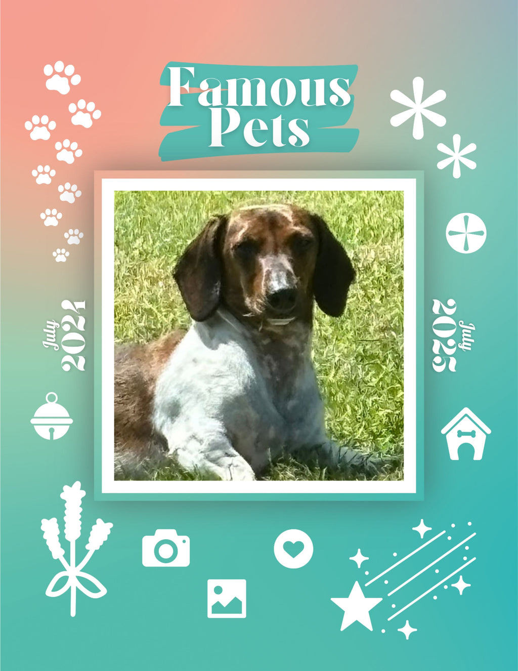 Famous Pets: July 2024-July 2025 Wall Calendar (Pre-Order)