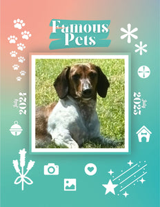 Famous Pets: July 2024-July 2025 Wall Calendar (Pre-Order)