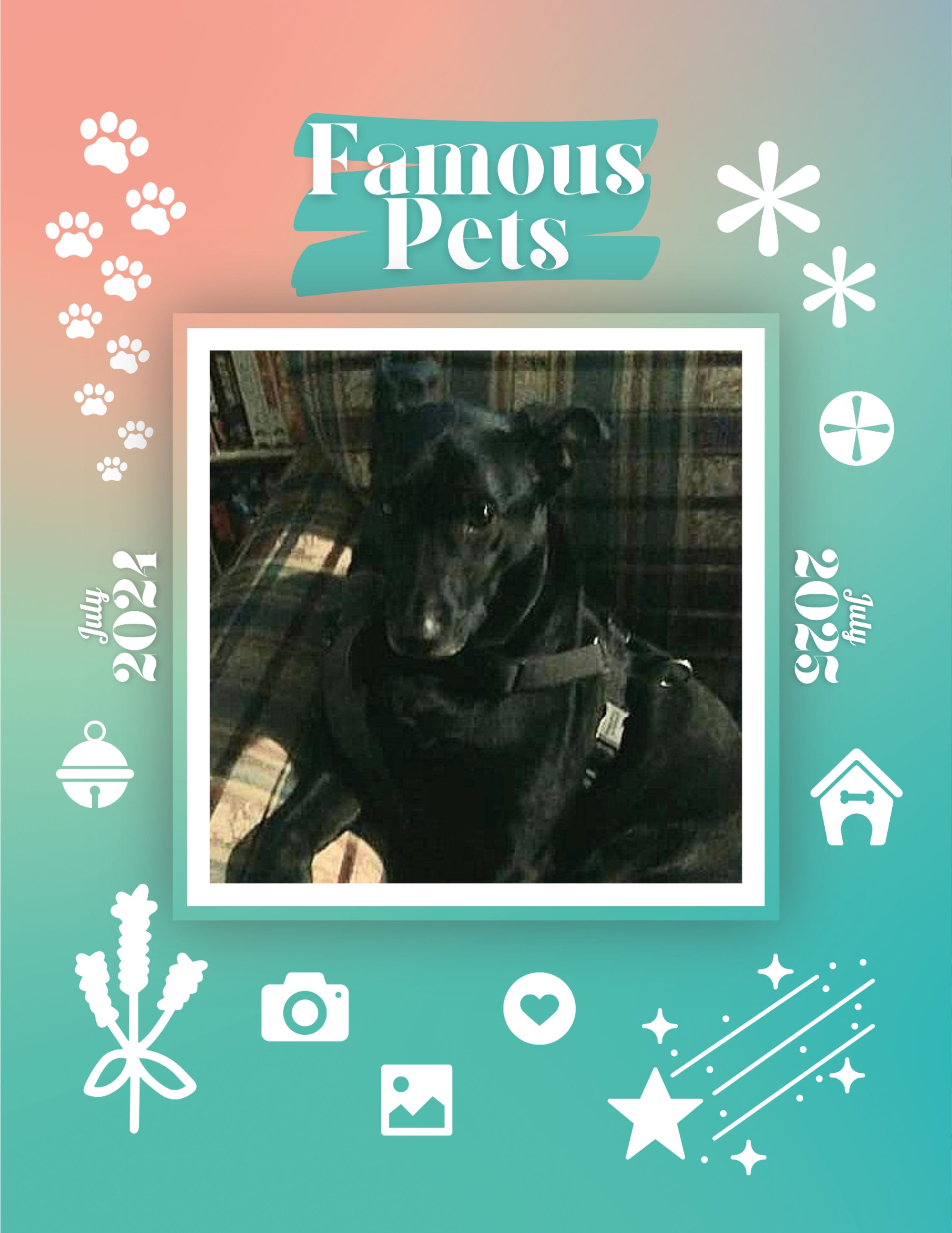 Famous Pets: July 2024-July 2025 Wall Calendar (Pre-Order)