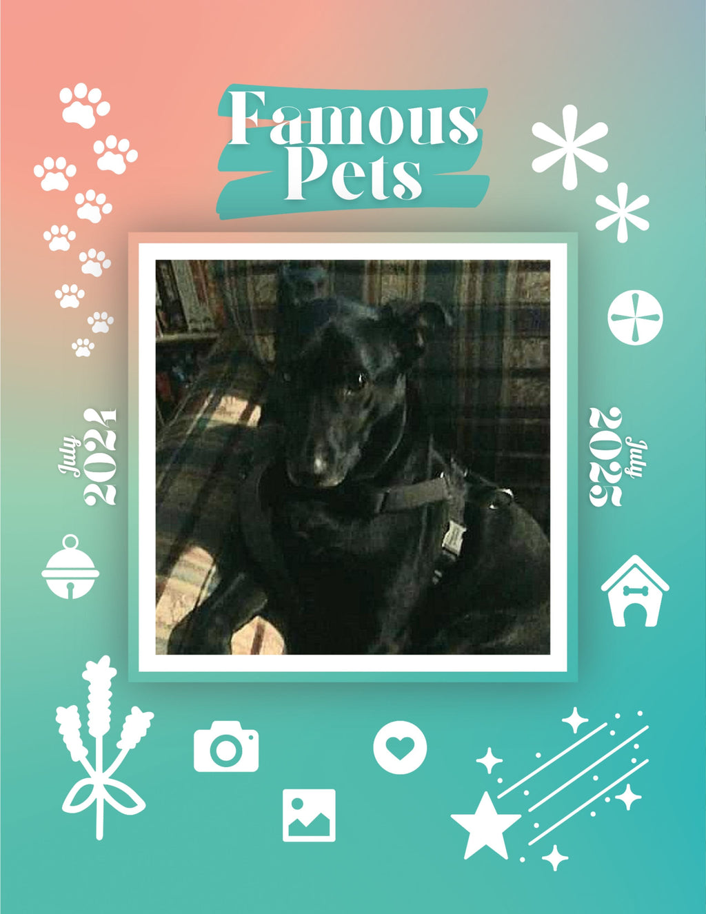Famous Pets: July 2024-July 2025 Wall Calendar (Pre-Order)