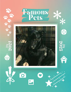 Famous Pets: July 2024-July 2025 Wall Calendar (Pre-Order)