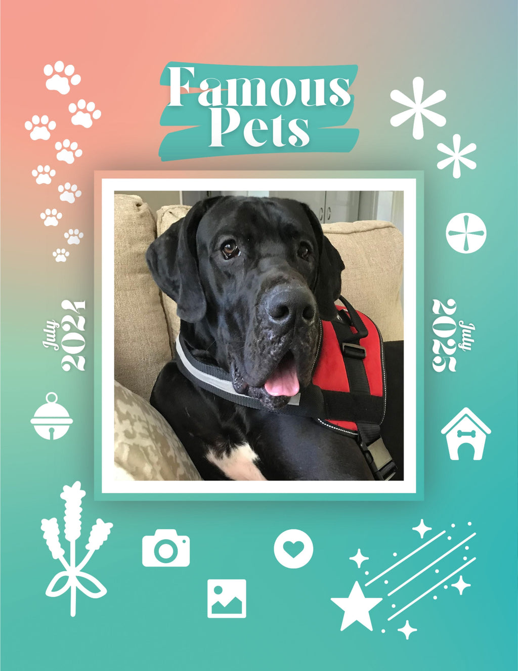 Famous Pets: July 2024-July 2025 Wall Calendar (Pre-Order)