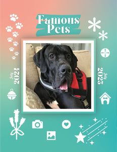 Famous Pets: July 2024-July 2025 Wall Calendar (Pre-Order)