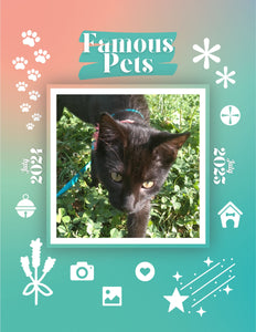 Famous Pets: July 2024-July 2025 Wall Calendar (Pre-Order)