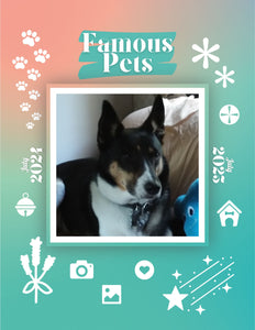 Famous Pets: July 2024-July 2025 Wall Calendar (Pre-Order)