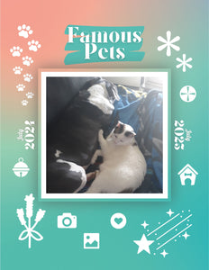 Famous Pets: July 2024-July 2025 Wall Calendar (Pre-Order)