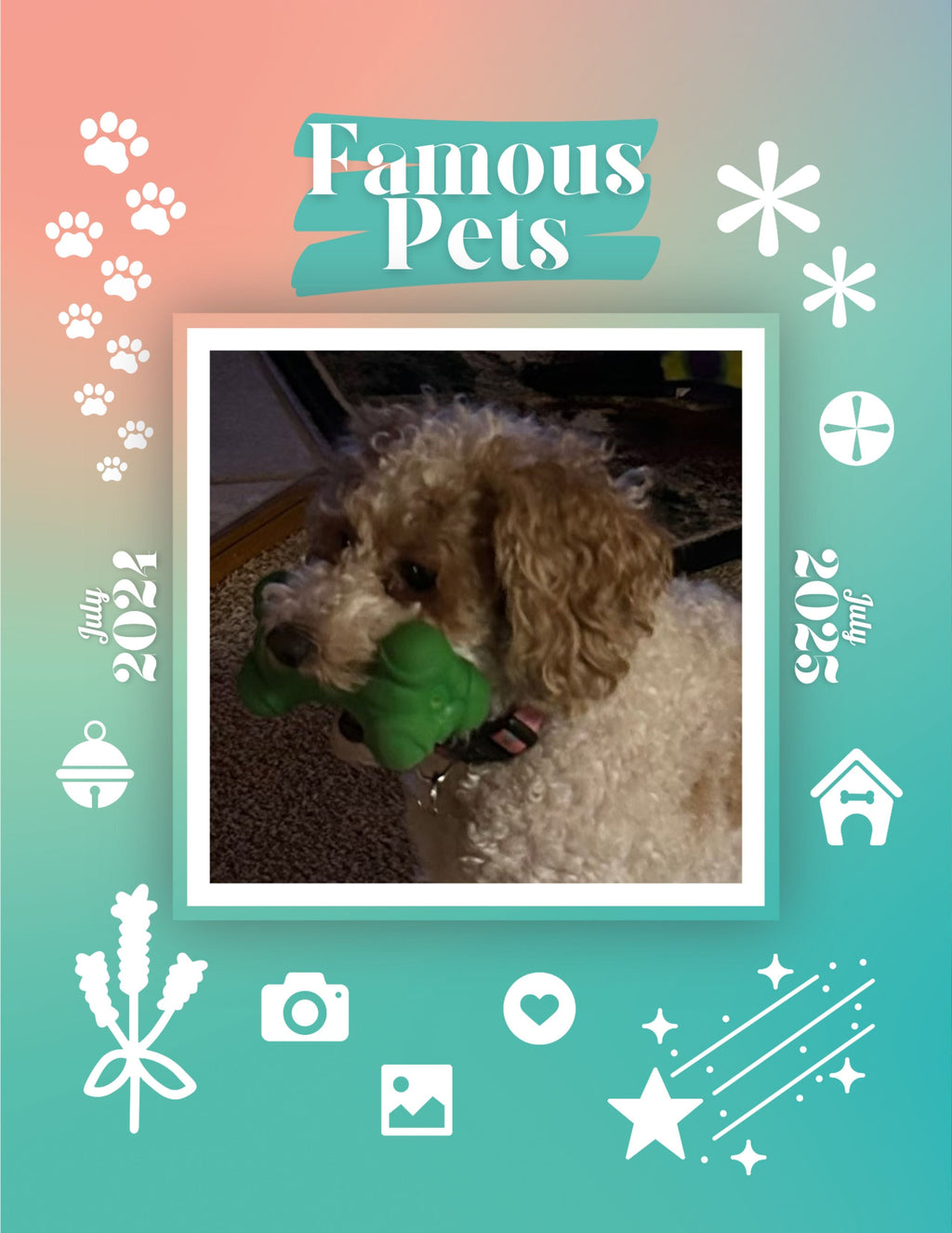 Famous Pets: July 2024-July 2025 Wall Calendar (Pre-Order)