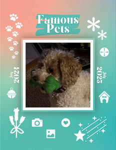 Famous Pets: July 2024-July 2025 Wall Calendar (Pre-Order)