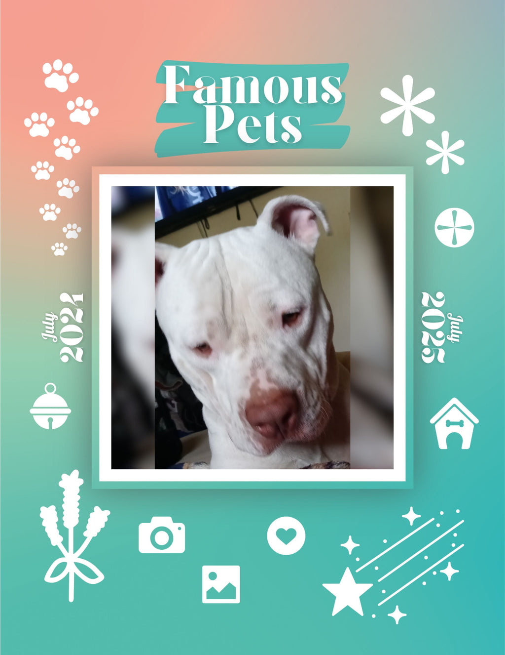 Famous Pets: July 2024-July 2025 Wall Calendar (Pre-Order)