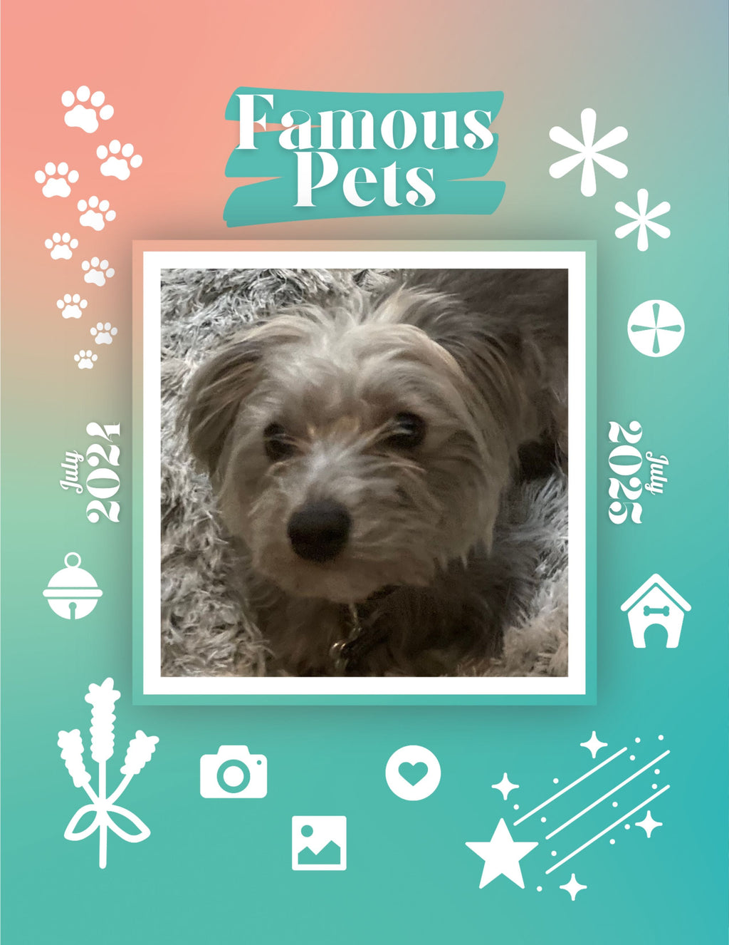 Famous Pets: July 2024-July 2025 Wall Calendar (Pre-Order)