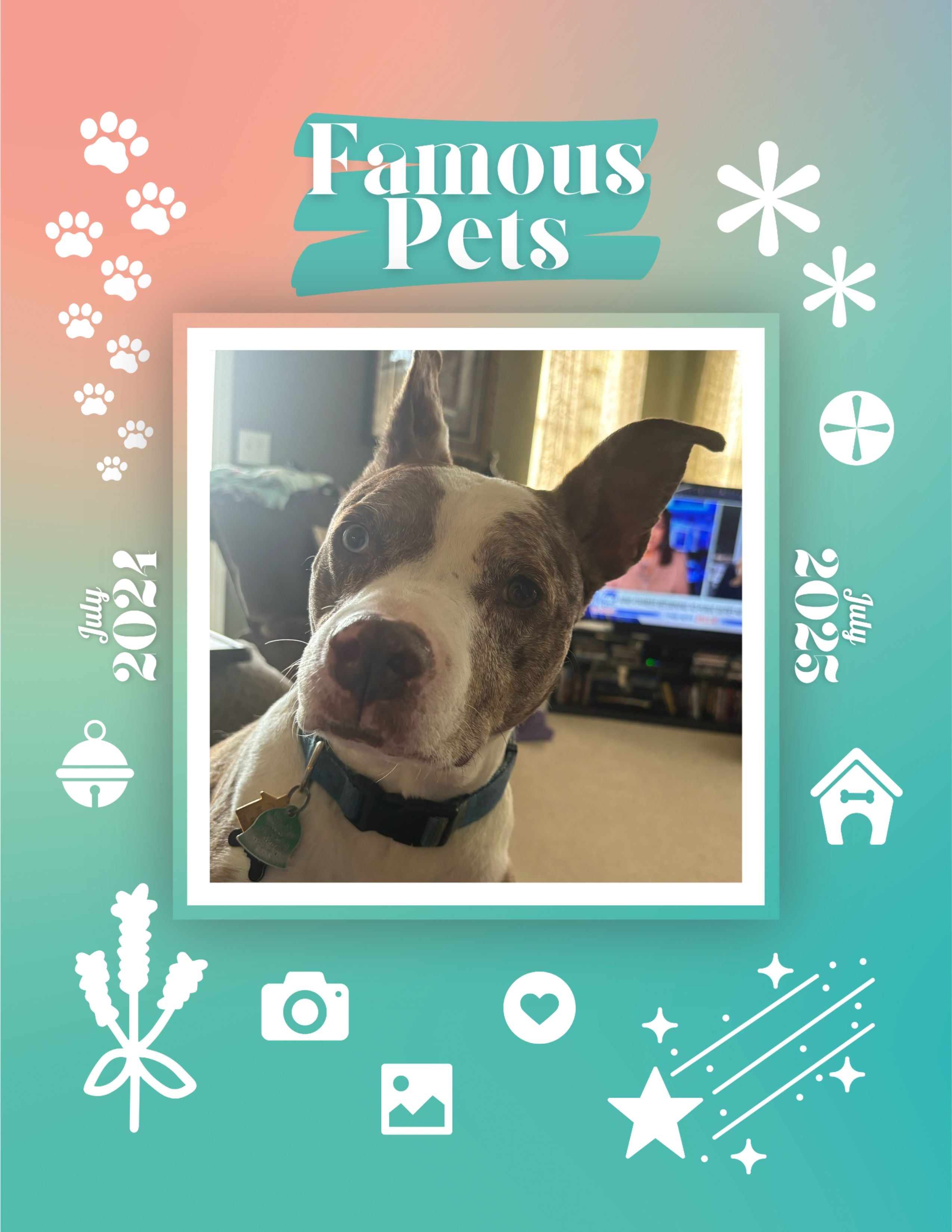 Famous Pets: July 2024-July 2025 Wall Calendar (Pre-Order)
