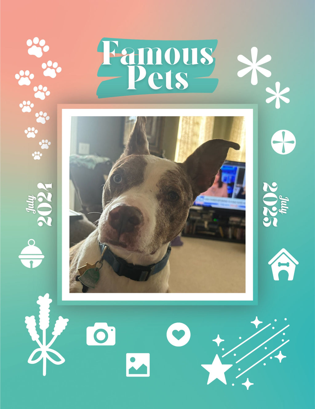 Famous Pets: July 2024-July 2025 Wall Calendar (Pre-Order)