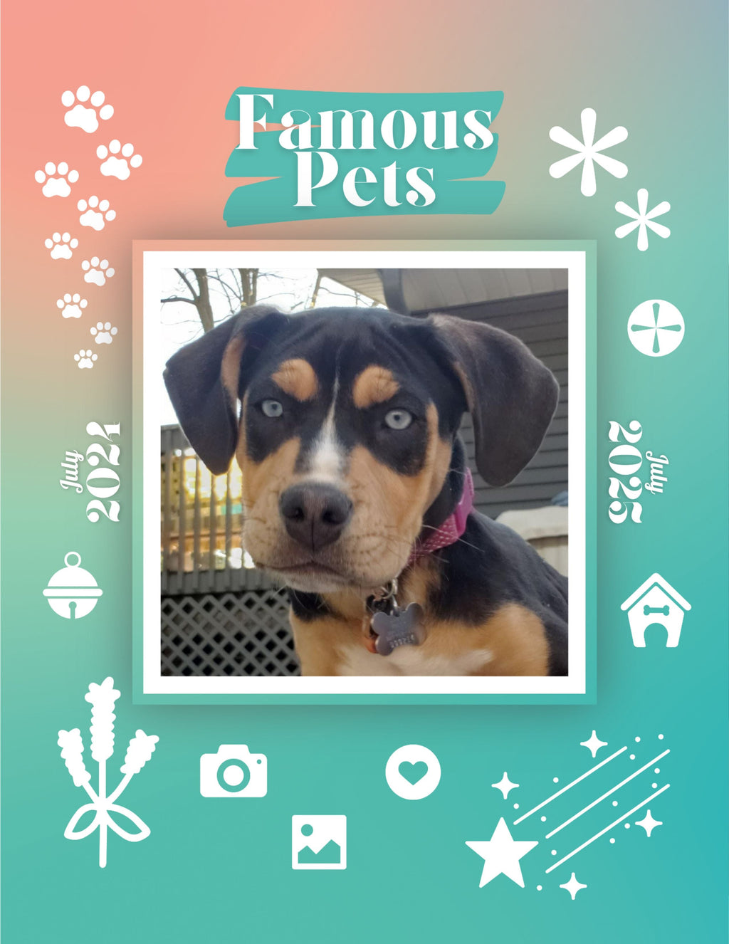 Famous Pets: July 2024-July 2025 Wall Calendar (Pre-Order)