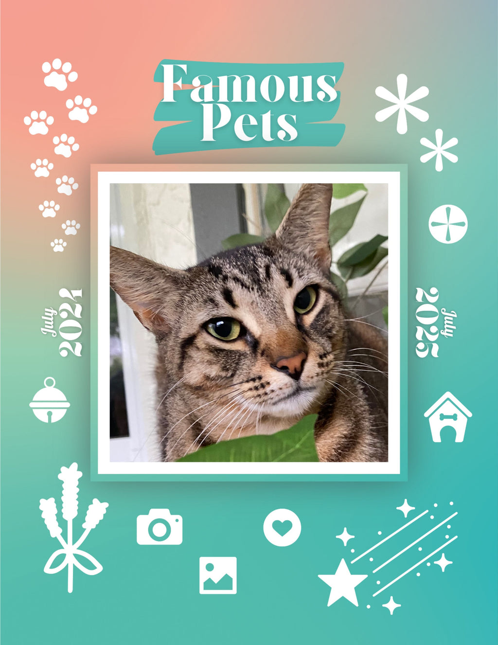 Famous Pets: July 2024-July 2025 Wall Calendar (Pre-Order)