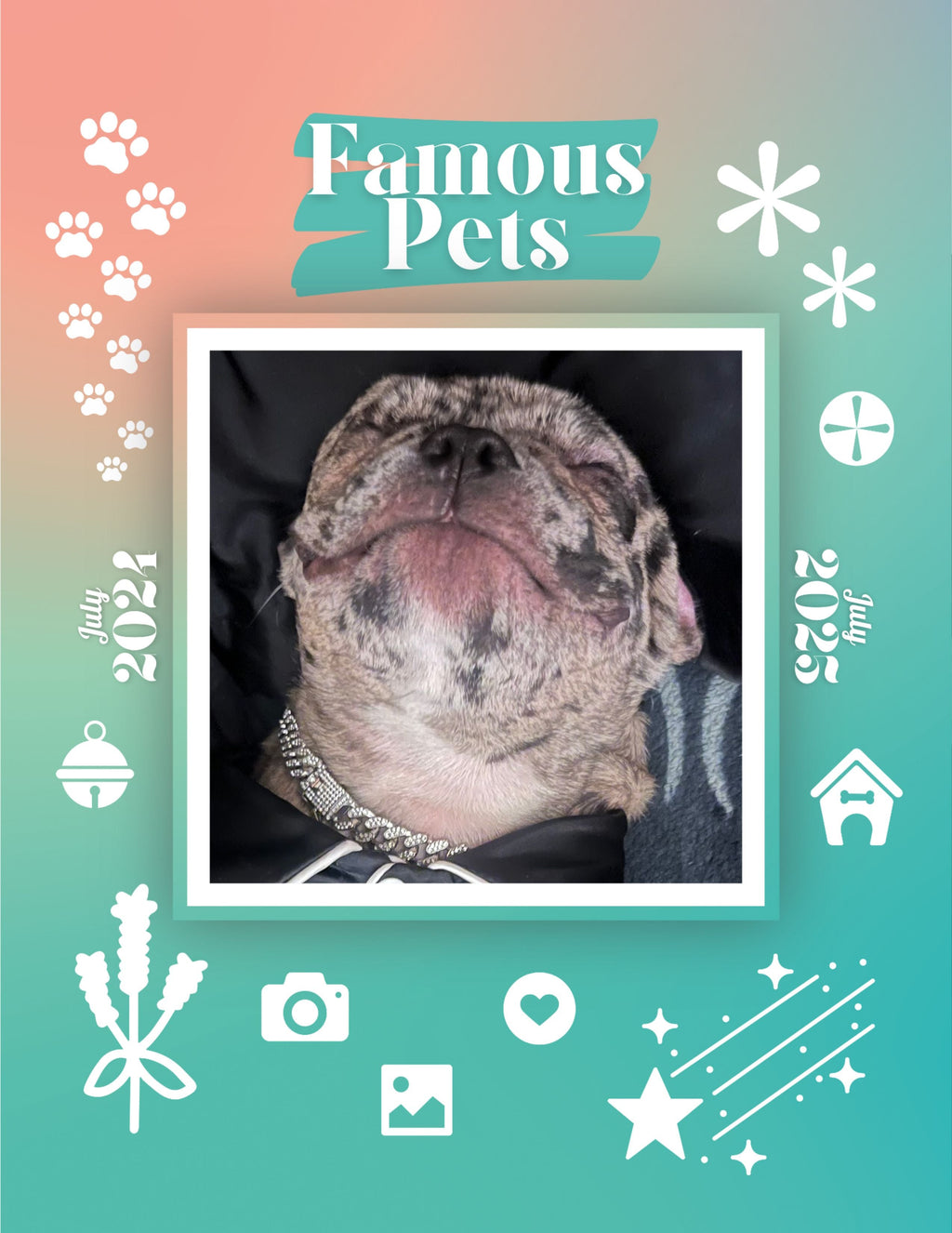 Famous Pets: July 2024-July 2025 Wall Calendar (Pre-Order)