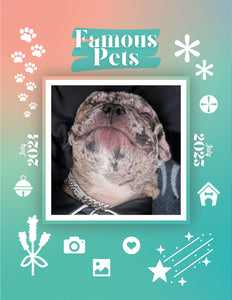 Famous Pets: July 2024-July 2025 Wall Calendar (Pre-Order)