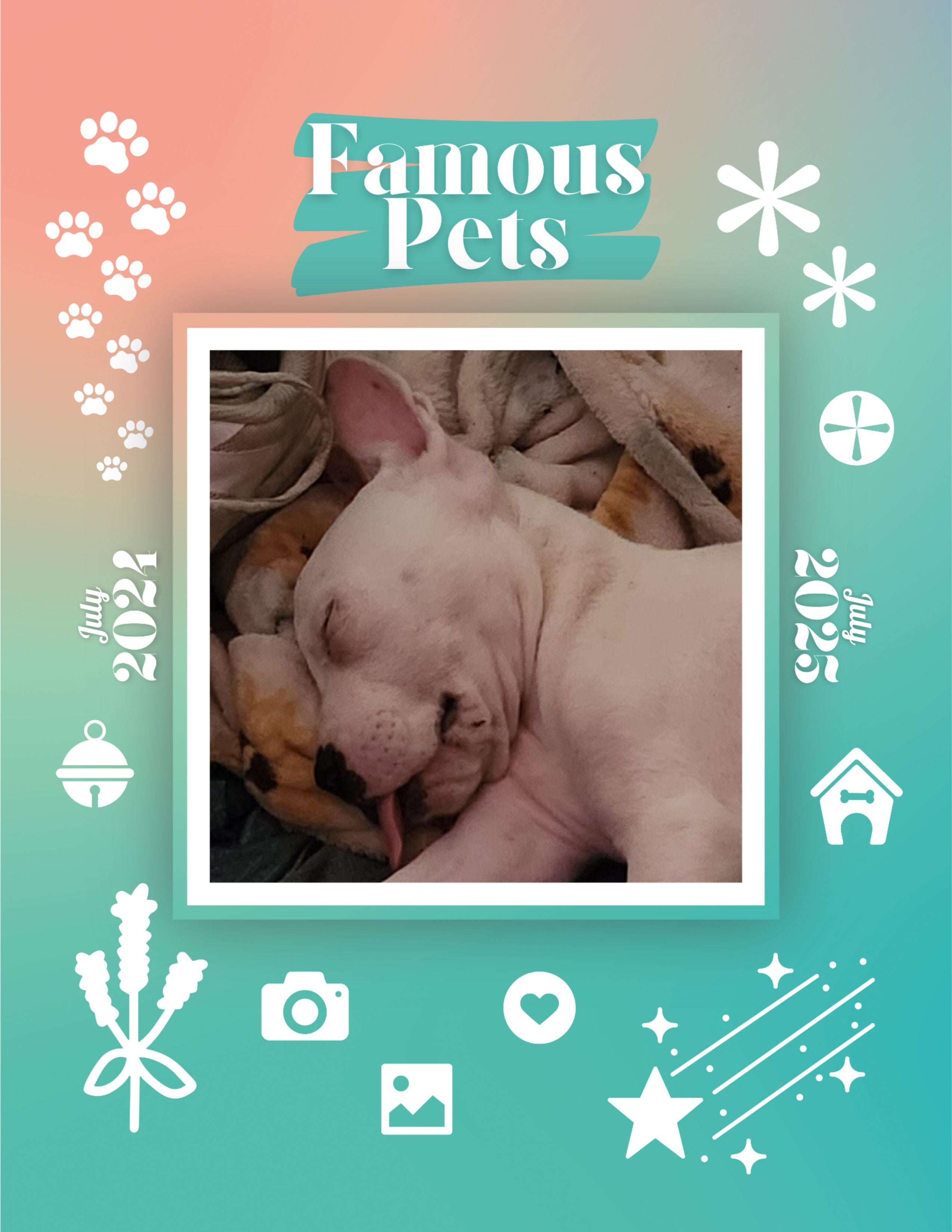 Famous Pets: July 2024-July 2025 Wall Calendar (Pre-Order)