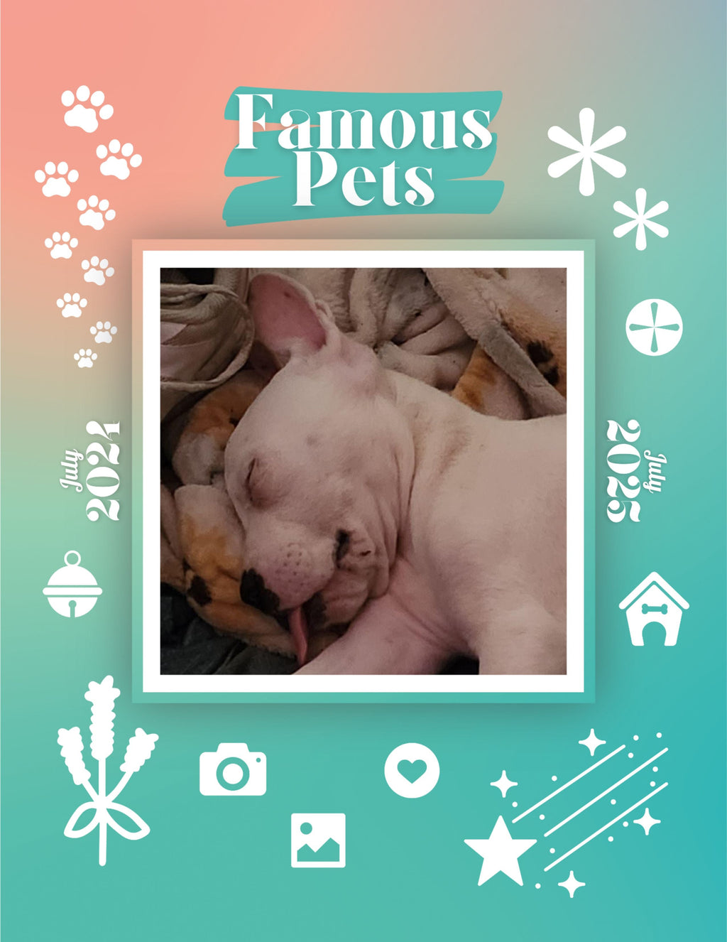 Famous Pets: July 2024-July 2025 Wall Calendar (Pre-Order)