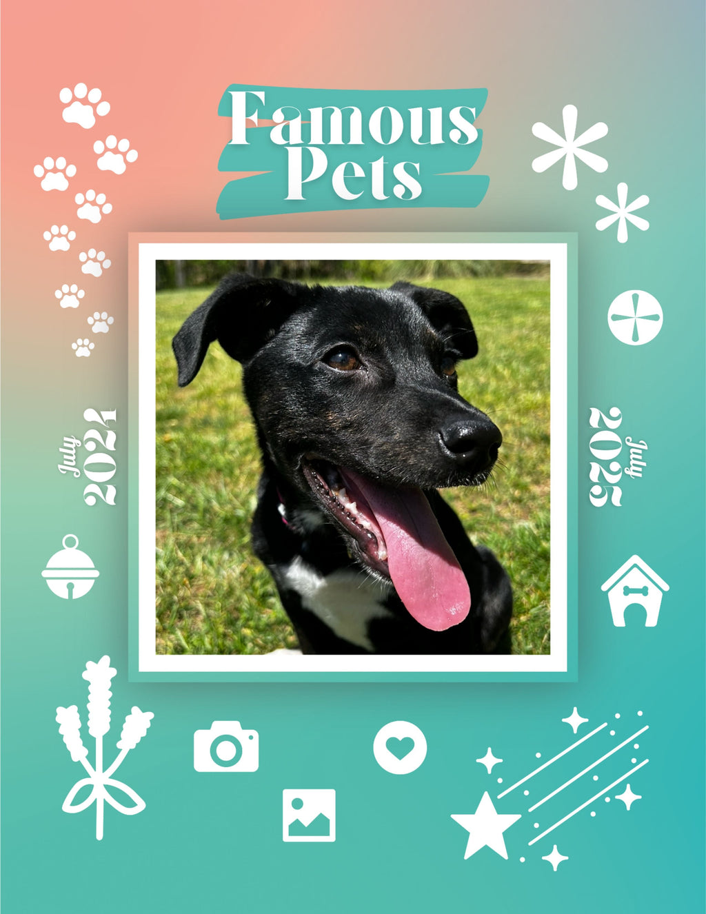 Famous Pets: July 2024-July 2025 Wall Calendar (Pre-Order)