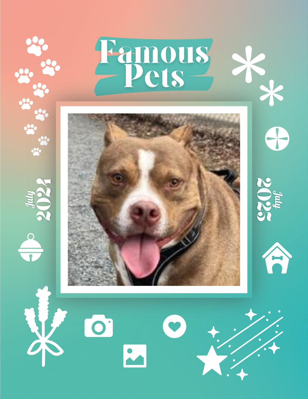 Famous Pets: July 2024-July 2025 Wall Calendar (Pre-Order)
