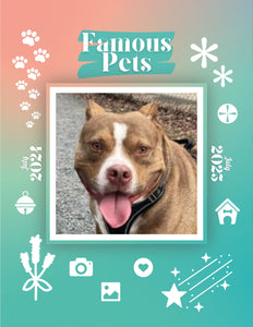 Famous Pets: July 2024-July 2025 Wall Calendar (Pre-Order)