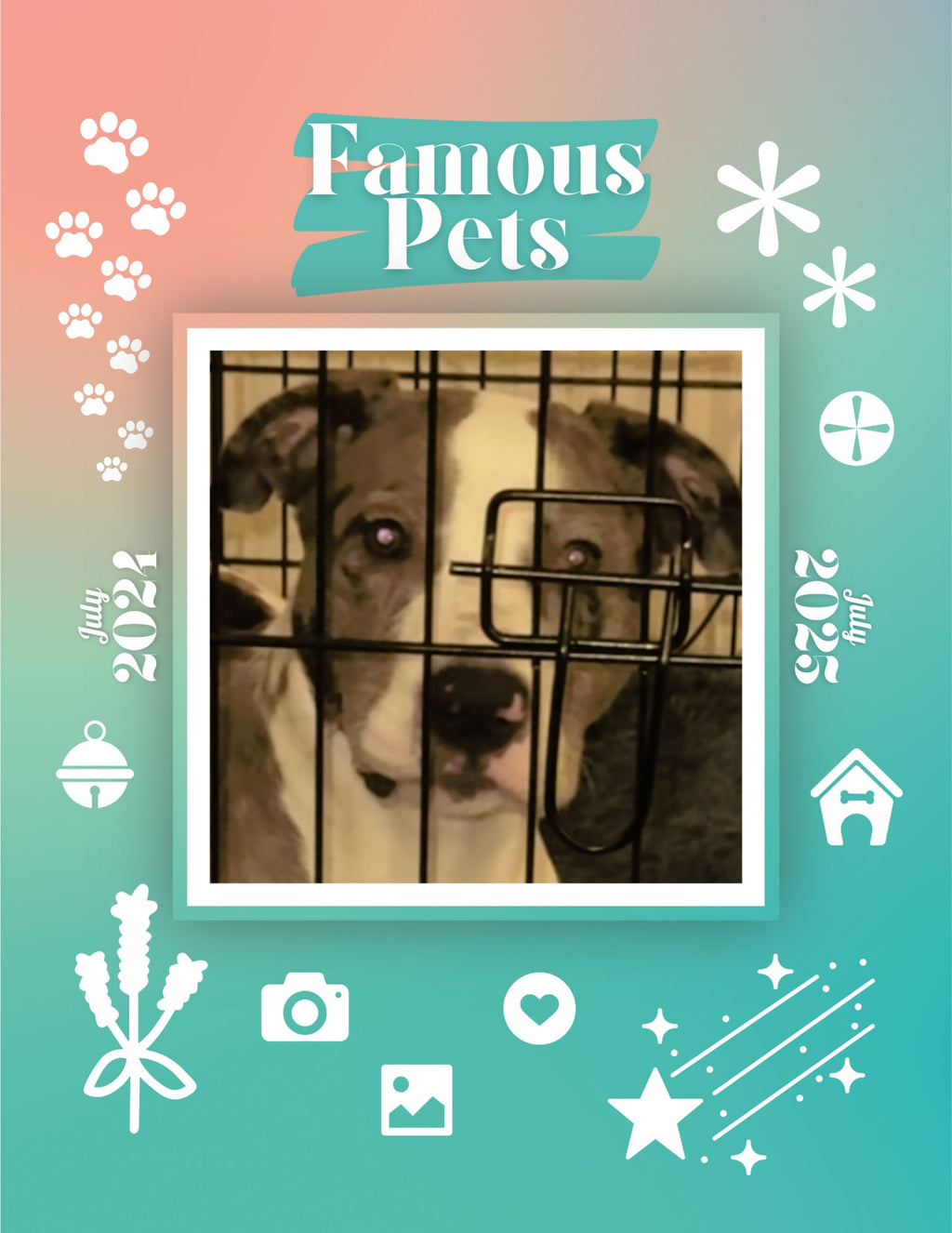 Famous Pets: July 2024-July 2025 Wall Calendar (Pre-Order)