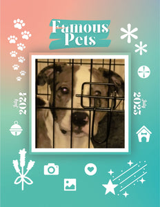 Famous Pets: July 2024-July 2025 Wall Calendar (Pre-Order)