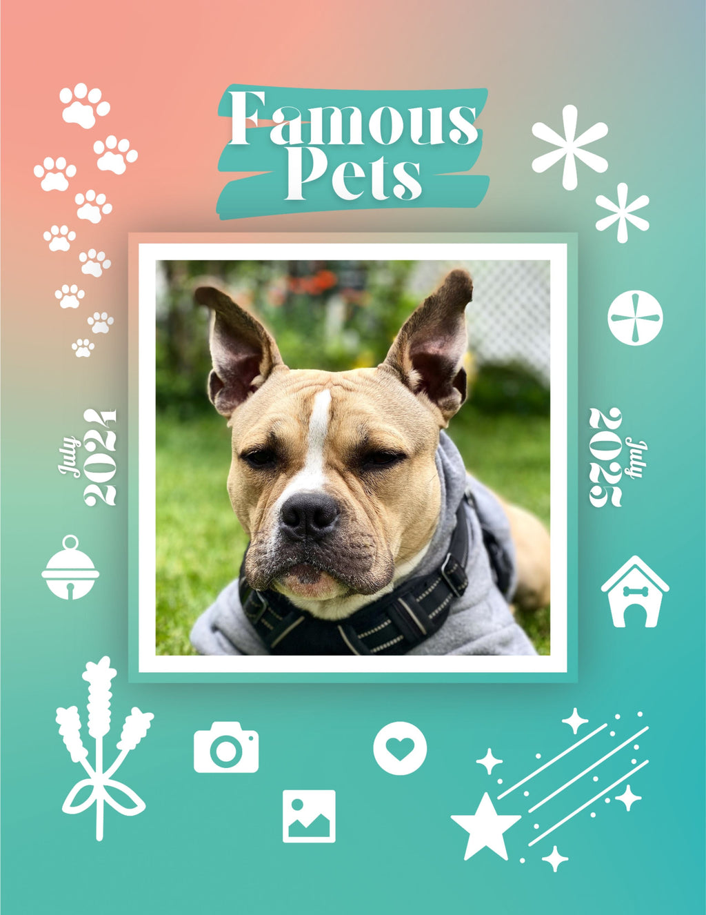 Famous Pets: July 2024-July 2025 Wall Calendar (Pre-Order)