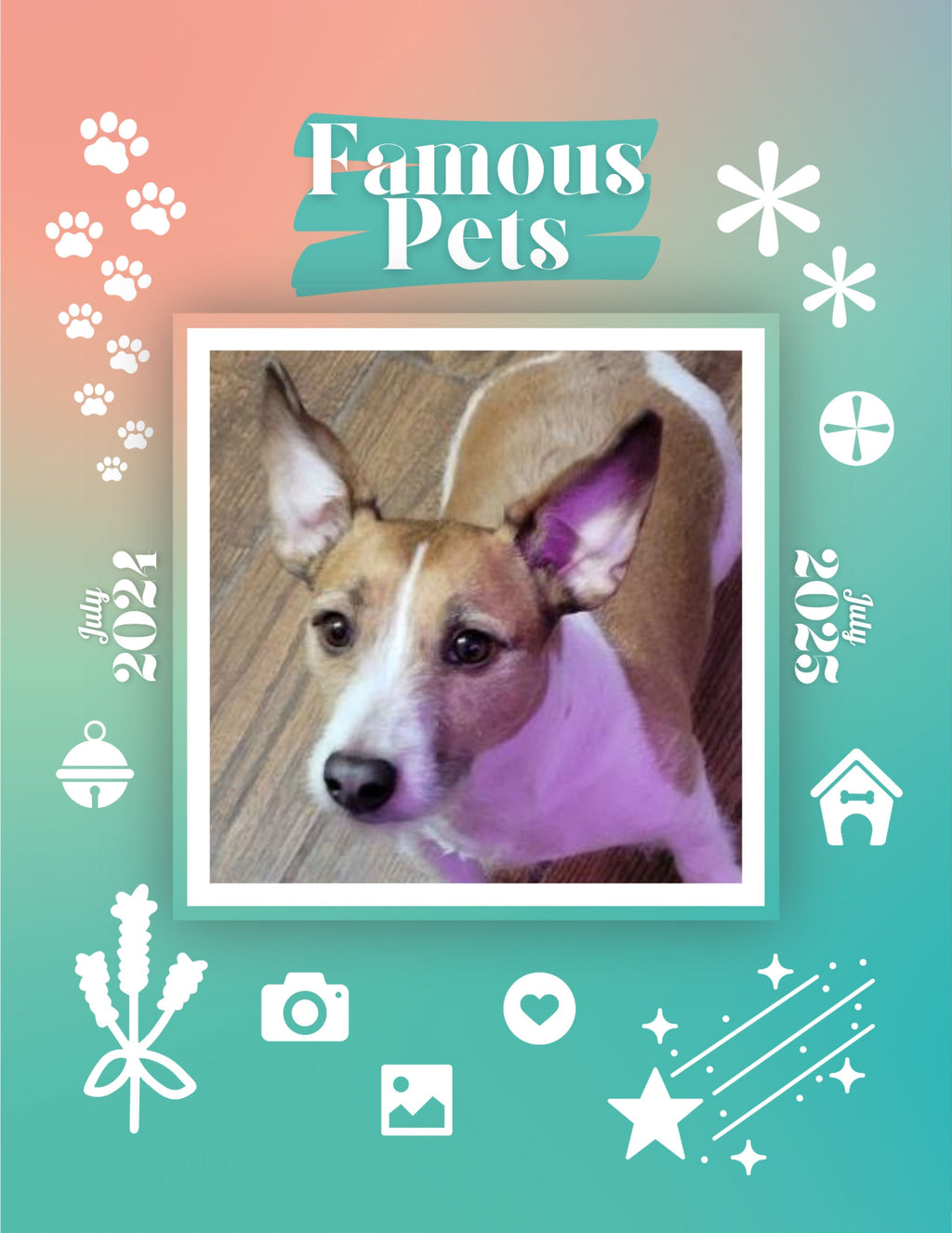 Famous Pets: July 2024-July 2025 Wall Calendar (Pre-Order)