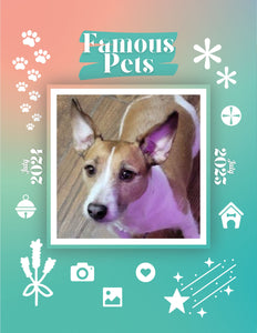 Famous Pets: July 2024-July 2025 Wall Calendar (Pre-Order)