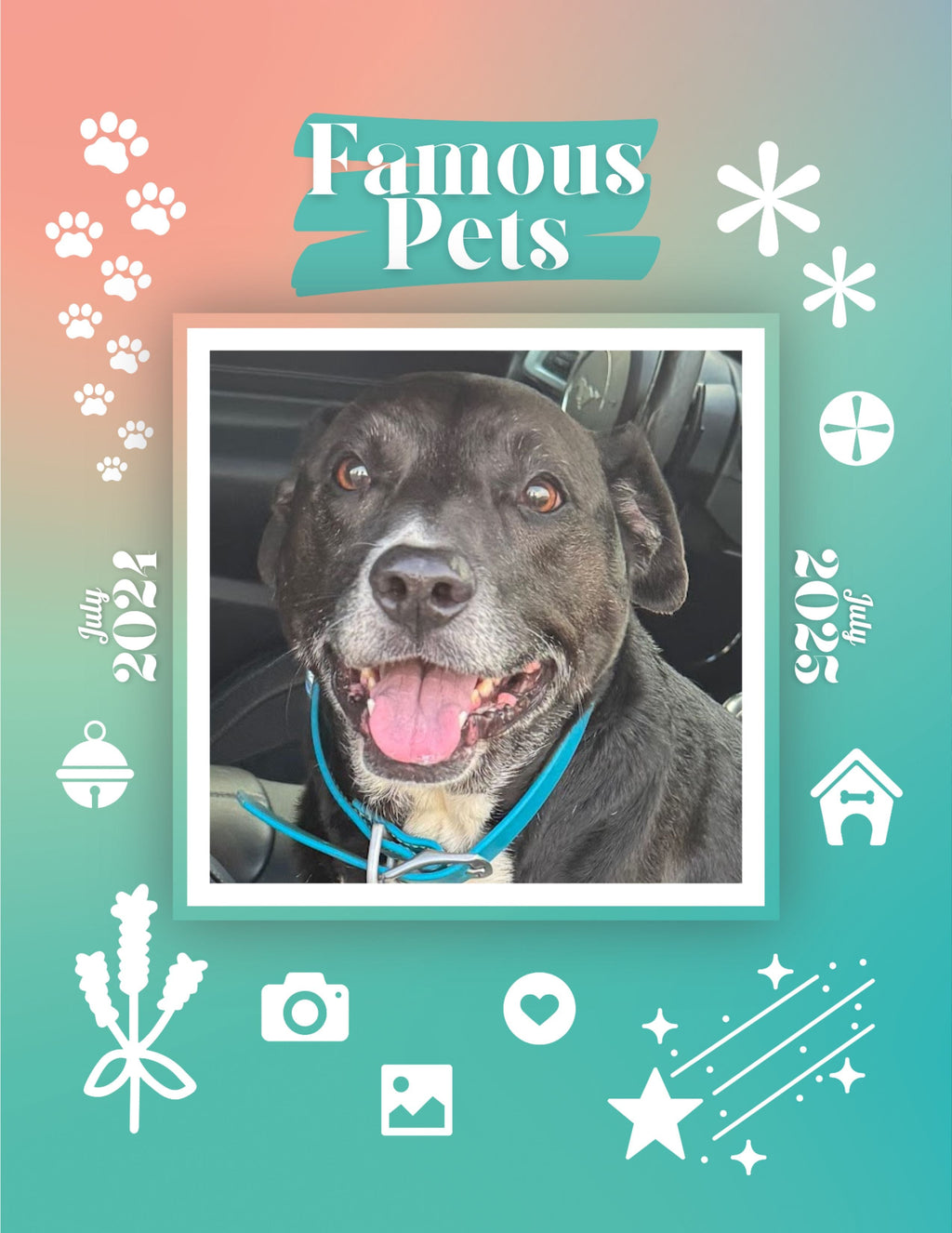 Famous Pets: July 2024-July 2025 Wall Calendar (Pre-Order)