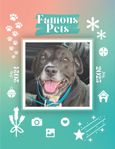 Famous Pets: July 2024-July 2025 Wall Calendar (Pre-Order)