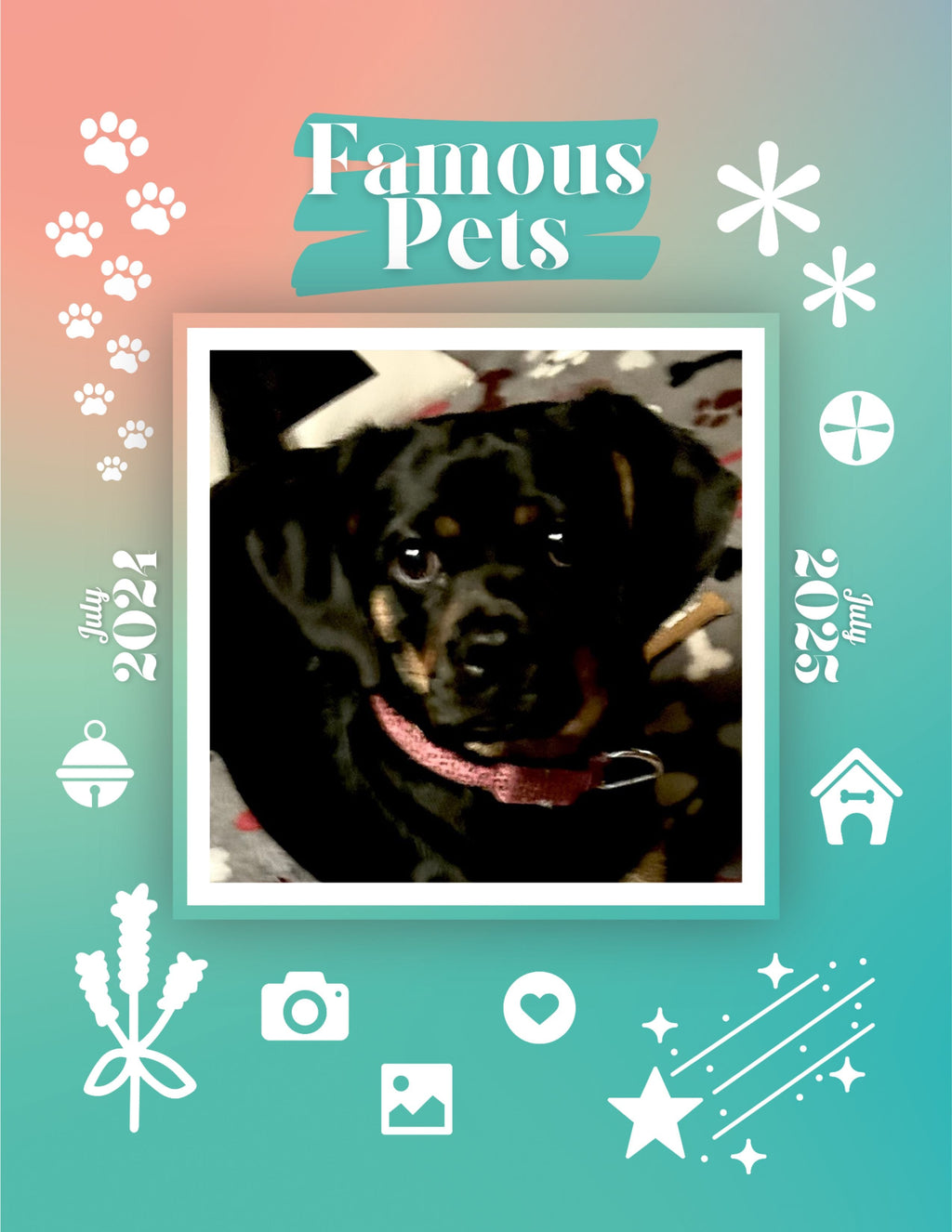 Famous Pets: July 2024-July 2025 Wall Calendar (Pre-Order)