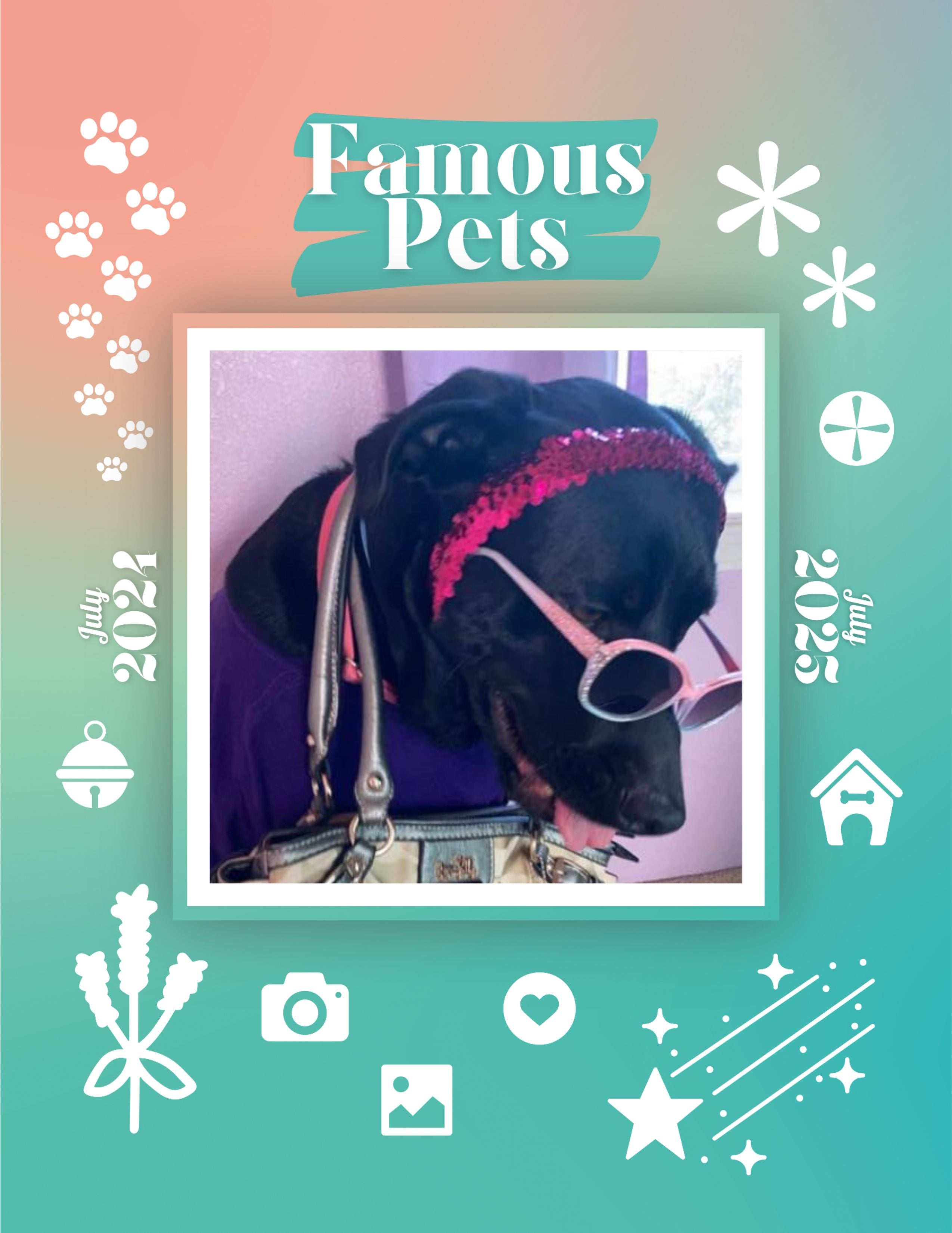 Famous Pets: July 2024-July 2025 Wall Calendar (Pre-Order)