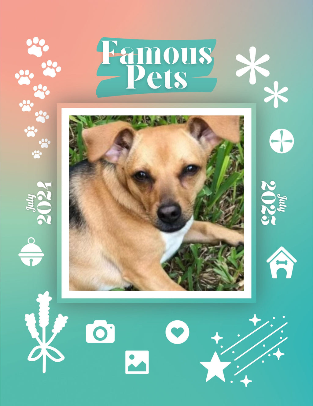 Famous Pets: July 2024-July 2025 Wall Calendar (Pre-Order)